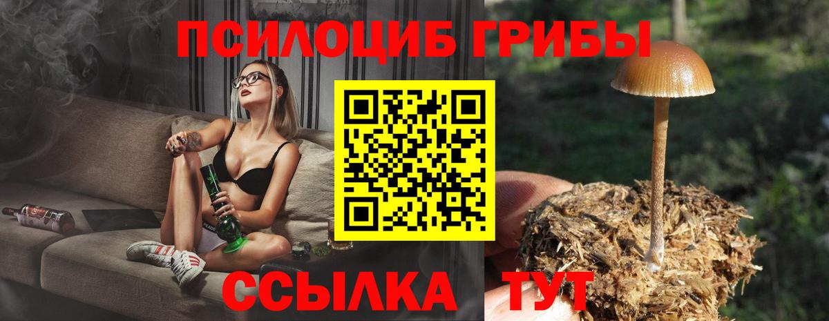 Псилоцибиновые грибы мухоморы Усинск