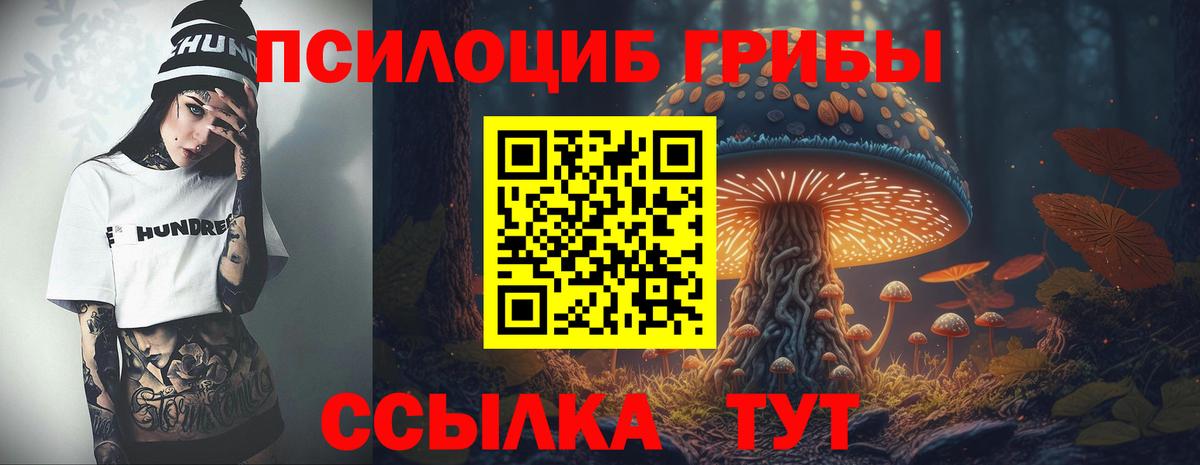 хочу   Вход с VPN  Усинск  Псилоцибиновые грибы мицелий 